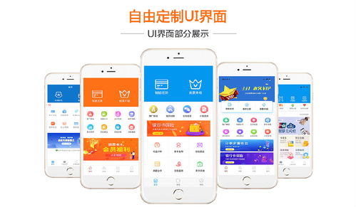 智能養(yǎng)卡app 代還軟件開(kāi)發(fā)定制